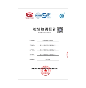 检测报告