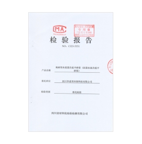 检测报告